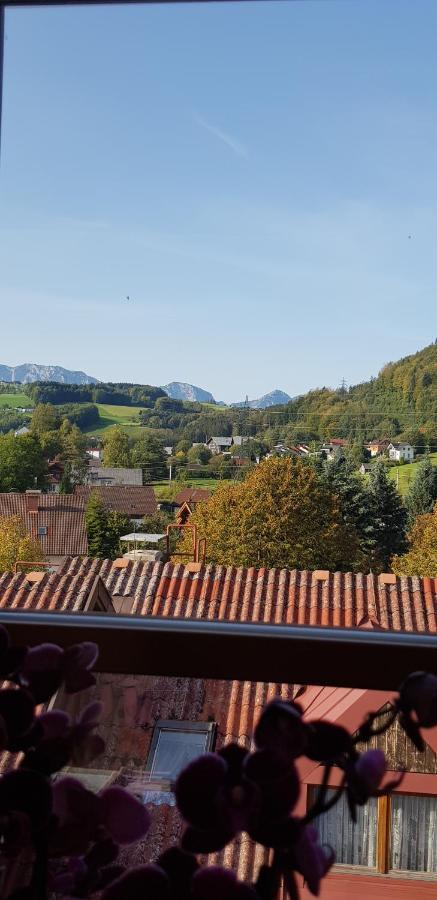 Auszeit Am Traunsee Altmünster المظهر الخارجي الصورة
